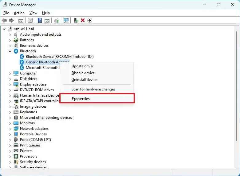 huong dan kiem tra phien ban bluetooth tren windows 10 va windows 11